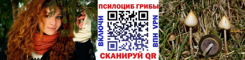 кракен как войти  Белая Холуница  Галлюциногенные грибы прущие грибы  хочу наркоту 