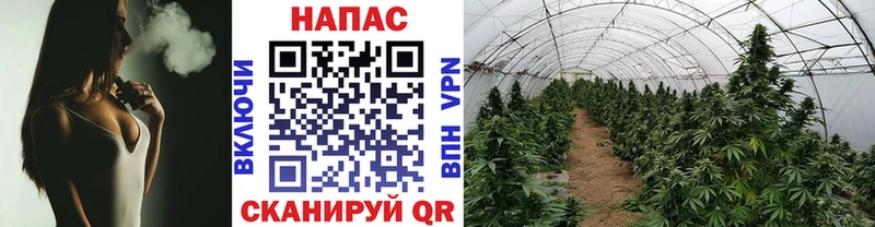 Канабис индика  shop состав  Белая Холуница 
